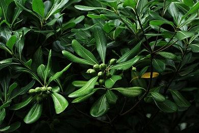 快节奏策略游戏《去往太空》现已在Steam平台提供试玩Demo